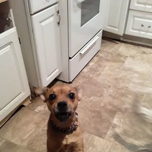 Meet your Posher, Paul